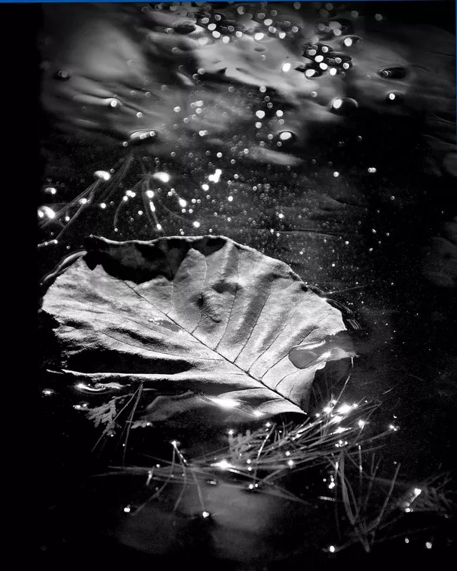 celestial-new-limited-edition-1-10-photograph ""Celestial" New Limited Edition 1 of 10" Photograph